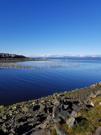 French Creek Harbour